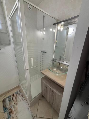 une salle de bain avec une douche en verre et un lavabo dans l'établissement Bonheur, à Colombier-Saugnieu