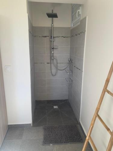 eine Duschkabine in einem Badezimmer mit Dusche in der Unterkunft Villa rubis in Saint-François