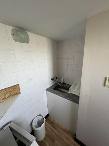 サン・フランシスコにあるAires del libertadorのバスルーム(洗面台、ゴミ箱付)