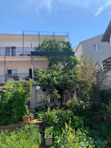 Apartments with parking space Rogoznica - 23796