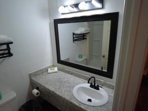 Ένα μπάνιο στο Americourt Hotel and Suites - Elizabethton