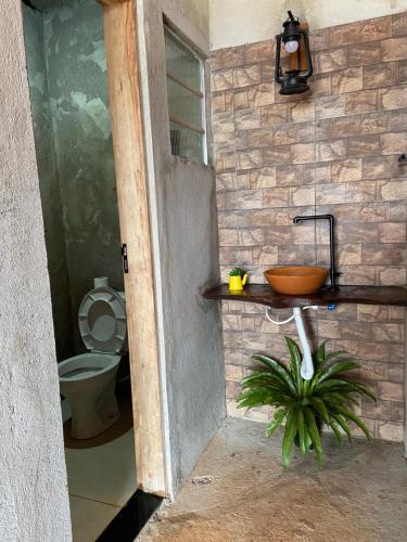 ラゴイーニャにあるRecanto dos Borgesのバスルーム(トイレ、シンク、植物付)