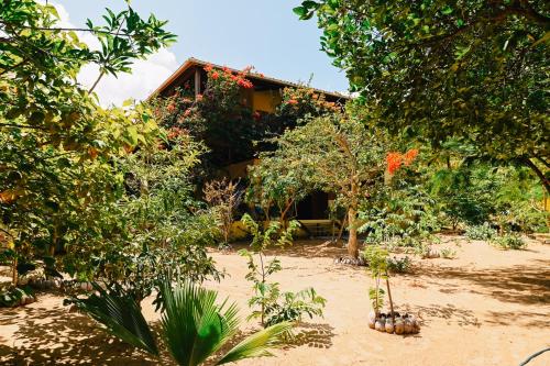 a garden with trees and a house in the background at Casa Bem Te Vi in Amontada