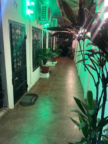 Φωτογραφία από το άλμπουμ του Luxury Terrace Guest House σε Bonamakolo