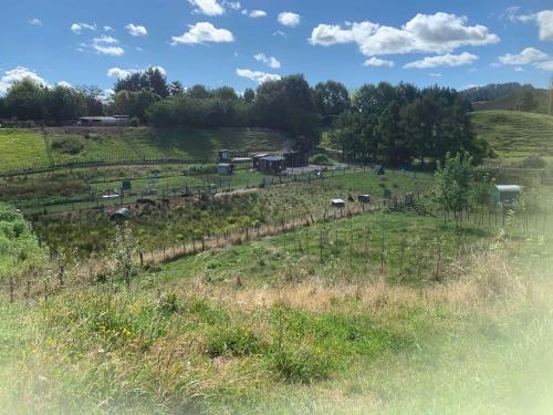 a farm with cows in a field with a fence at Stone Cabin by Tiny Away in Huiroa