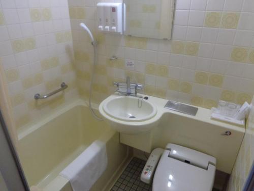 a bathroom with a sink and a toilet and a tub at Hotel Il Viale Hachinohe in Hachinohe