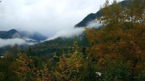 a view of a forest with clouds in the mountains at Cabaña Ugarit Chabranco Maihue Futrono in Futrono