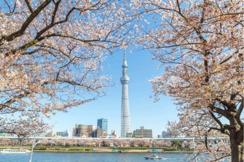 TOKYO SKYTREE Cat house 押上駅徒歩6分 浅草