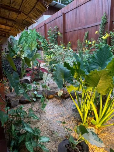 a garden with lots of plants and a fence at Recanto Alter do Chão in Alter do Chao
