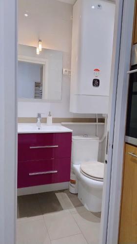La salle de bains est pourvue d'un lavabo violet et de toilettes. dans l'établissement cozy apartment port of Nice, à Nice