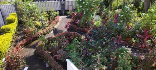 a garden filled with lots of different types of plants at Le domaine des fanjans in Saint-Benoît