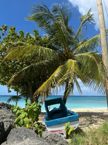 Loodusmaastik apartemendi lähedal