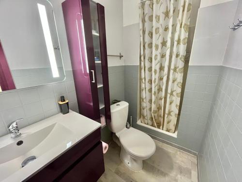 une salle de bain avec toilettes, lavabo et douche dans l'établissement Studio confortable pour 4 pers avec parking à 10 min de la plage - FR-1-716-77, à La Grande Motte