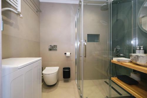 a bathroom with a toilet and a glass shower at Amari Stone Apartments in Moudhros