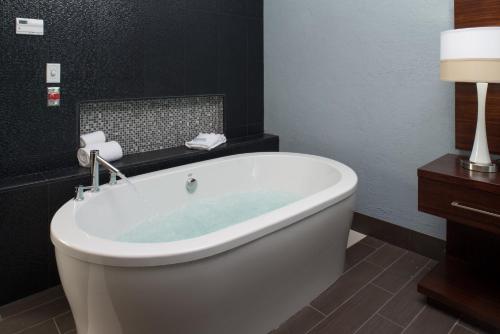 Holiday Inn Express & Suites Kansas City Airport, an IHG Hotel Image