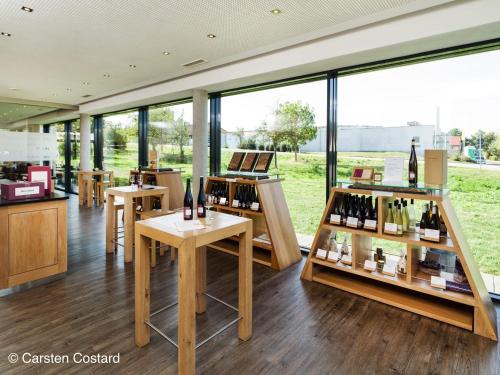 Fotografie z fotogalerie ubytování MEYERHOF - Bioweingut, Vinothek & Gästehaus v destinaci Flonheim