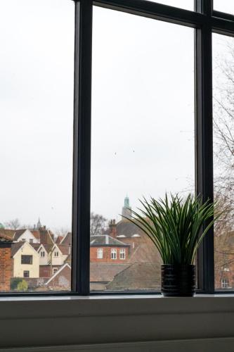a window with a potted plant sitting on a window sill at Contractor and Family friendly Grade II townhouse- 3 bedrooms- free parking in Norwich