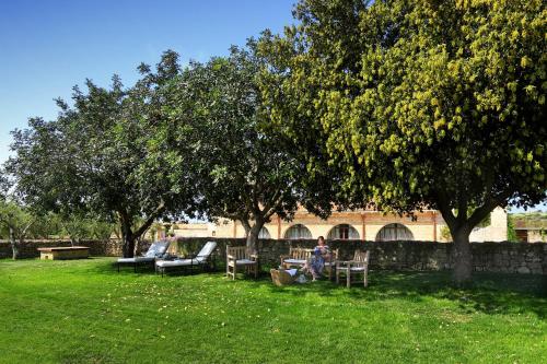 a person sitting in a chair under a tree at Masseria Fano Relais & Wine in Salve