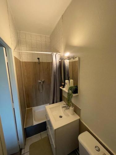 une salle de bain avec une douche, un lavabo et des toilettes dans l'établissement L 'Écrin Ivoire - Comfort and Productivity -Terrasse, à Brive-la-Gaillarde