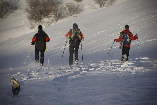 Chalets et gîtes d'Orlu