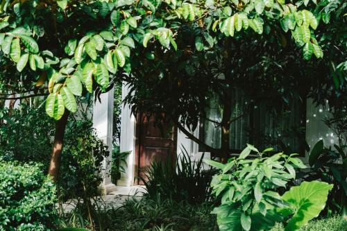 Lalita Tam Coc Resort & Spa — Garden view