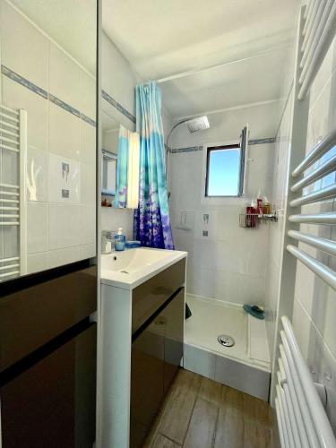 une salle de bain avec un lavabo, des toilettes et une douche dans l'établissement Appartement 2 PIECES 6 COUCHAGES SC020-051, à Saint Cyprien Plage