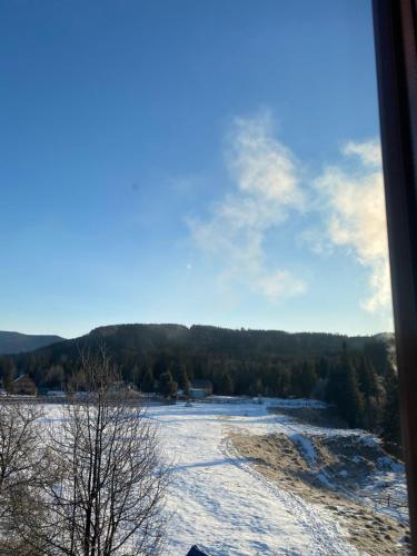 a view of a snow covered field with trees at Під Явором in Vorokhta
