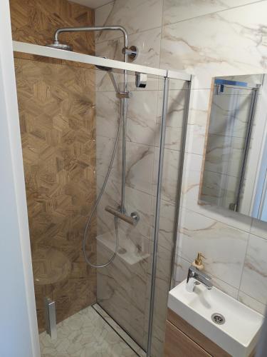 a bathroom with a shower with a sink and a mirror at Itaja apartment 73 in Šiauliai
