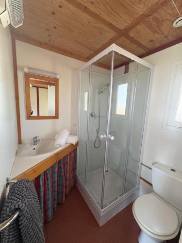 une salle de bain avec une douche, un lavabo et des toilettes dans l'établissement Chalet Aramis à la ferme, à Pouylebon