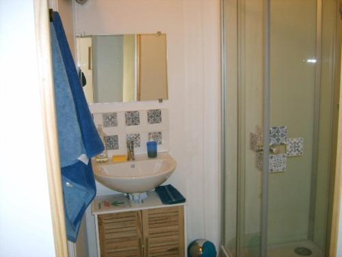 une salle de bain avec un lavabo et une douche dans l'établissement Gîte dans un village médiéval, à Auzon