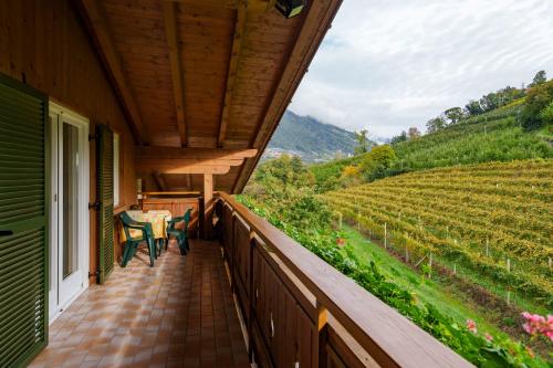 a porch with a table and chairs and a vineyard at Petaunerhof in Schenna
