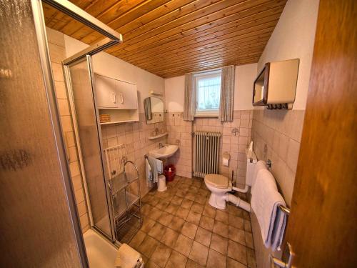 een kleine badkamer met toilet en douche bij Ferienwohnung Kaltenbach in Schonach