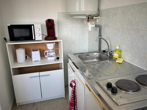une petite cuisine avec un évier et un micro-ondes dans l'établissement Appartement double 22 à Limoges, à Limoges
