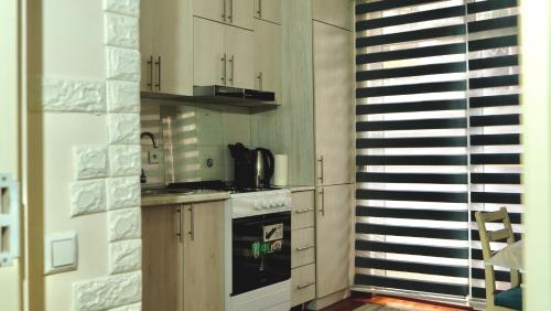 Η κουζίνα ή μικρή κουζίνα στο Apartment Green Park