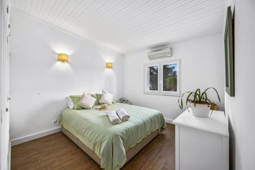 Villa Domus Vini by Villa Plus