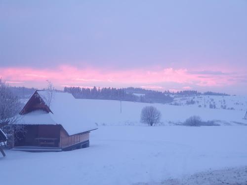 a barn in a field covered in snow at Łapszanka 29 in Łapszanka