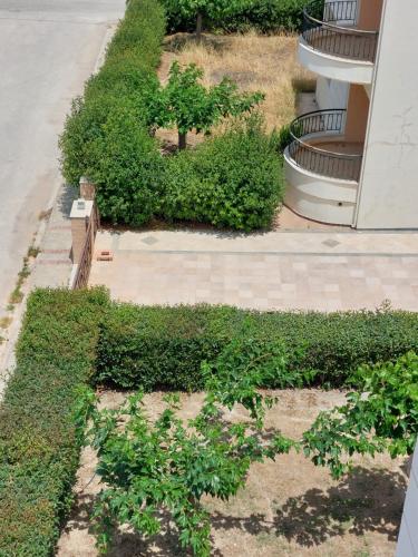 Ein Garten an der Unterkunft SereneLands Lygia