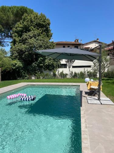 Πισίνα στο ή κοντά στο Villa Taccetti - Appartamento "La Torretta" in Villa del Settecento con piscina