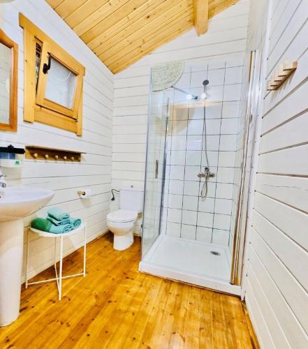 a bathroom with a shower and a toilet at Complejo Rural Huerta Grande in Algeciras