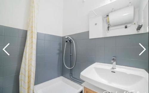 une salle de bain avec un lavabo et une douche dans l'établissement La petite Madrague, aux Lecques