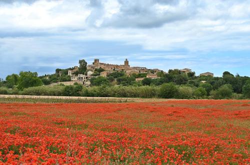 a field of red flowers with a castle on a hill at CAN COSTA in Pals