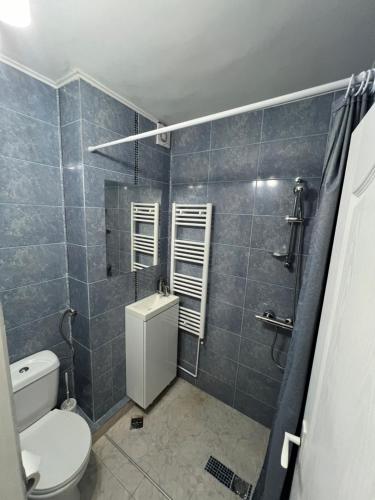 a bathroom with a toilet and a shower at Apart Canada Center in Baia Mare