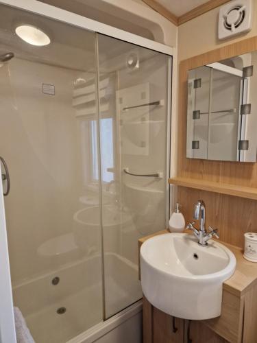 une salle de bain avec douche et lavabo dans l'établissement Lodge 1, à Rives