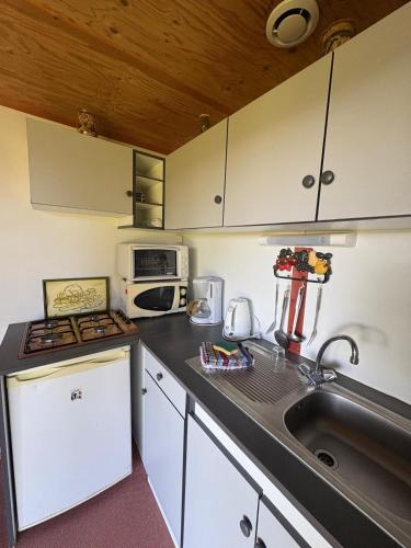 une cuisine avec un évier, une cuisinière et un micro-ondes dans l'établissement Chalet ATHOS à la ferme, à Pouylebon