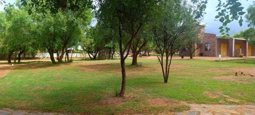 a group of trees in a field with a building at Kareespruit Game Ranch & Guest House in Zeerust