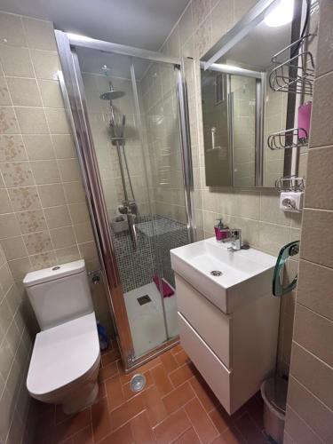 a bathroom with a toilet and a shower and a sink at Apartamento Isabel in Cuenca