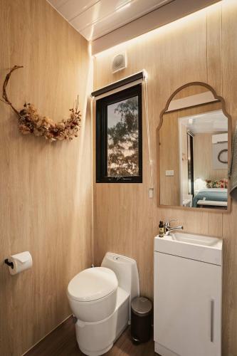 a bathroom with a toilet and a sink and a mirror at The Flower Nest by Tiny Away in Clydesdale