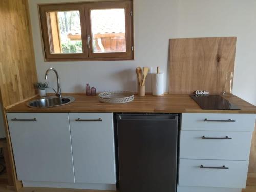 une cuisine avec un évier et un plan de travail dans l'établissement Cabane et jardinet, à Magescq