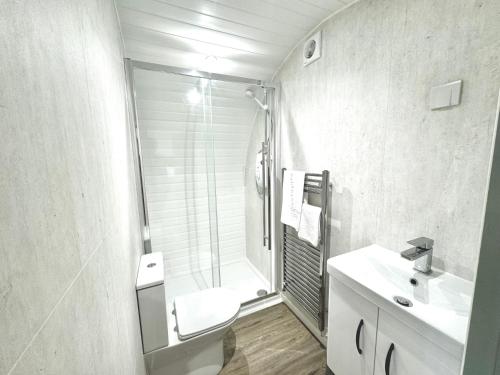 a bathroom with a shower and a toilet and a sink at Rowan Hobbit Pod at Cowbridge Cabins in Cowbridge