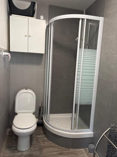 une salle de bain avec douche et toilettes dans l'établissement Charmante Maison à Woincourt proche Le Tréport Ault Mers les bains, à Woincourt